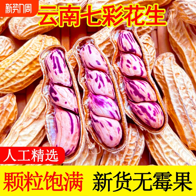 七彩花生米云南普洱特产带壳晒干2025新货生熟原味咸干五彩花生