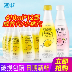 延中盐汽水咸柠汽小桃汽410ml*12瓶整箱包邮柠檬味白桃味汽水饮料