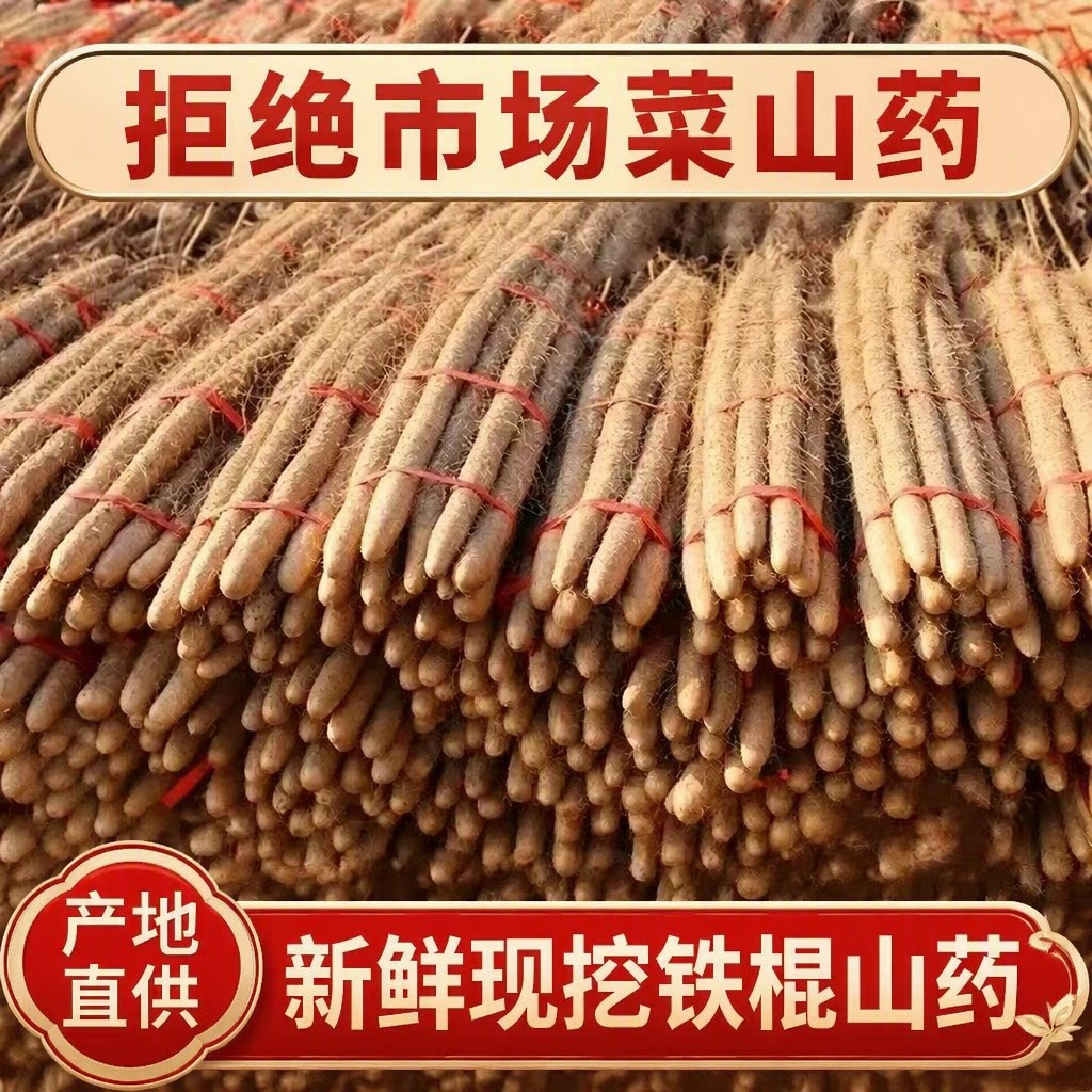 正宗小白嘴山药垆土铁棍山药蔬菜新鲜怀山药面糯香甜批发