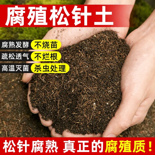 种杜鹃花专用土肥料杜鹃花营养土