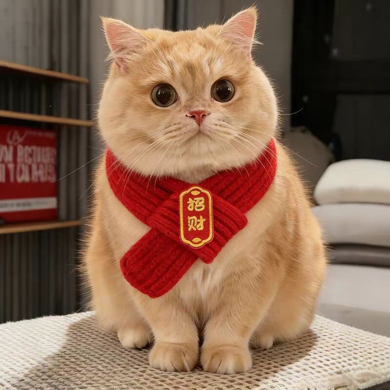 猫咪新年围巾宠物围脖红色保暖中国风口水巾围兜狗狗新年装饰品