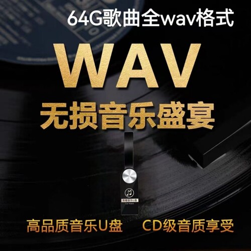 真无损WAV音乐u盘高音质经典歌曲