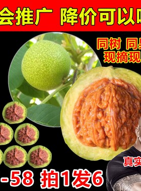 赌青皮文玩核桃把玩精品四座楼狮子头官帽三棱蛤蟆头苹果园野生