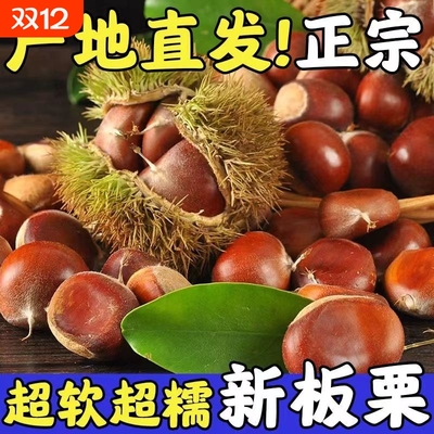 2025新货板栗生新鲜大板栗野生毛栗子应季蔬菜当季现摘果农配送