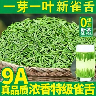 雀舌特级2026新茶叶贵州高山云雾湄潭翠芽明前春茶嫩芽浓香型罐装