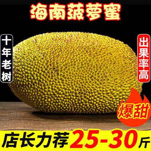 海南黄肉菠萝蜜20-25斤起一整个甜脆包邮当季新鲜现摘树上熟热带