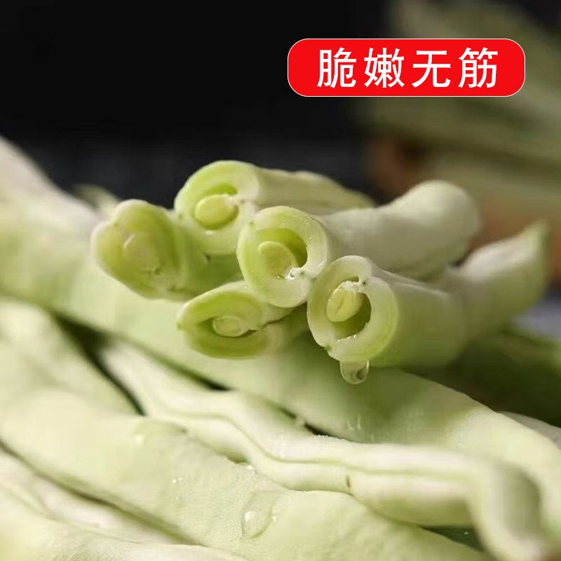 山东新鲜白芸豆大扁豆新鲜直达产地直达包邮