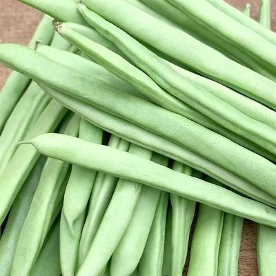 云南高原四季豆新鲜现摘现发