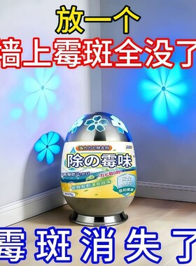去霉味神房间器去潮湿除霉味家用室内衣柜橱柜地下室去除霉干燥剂