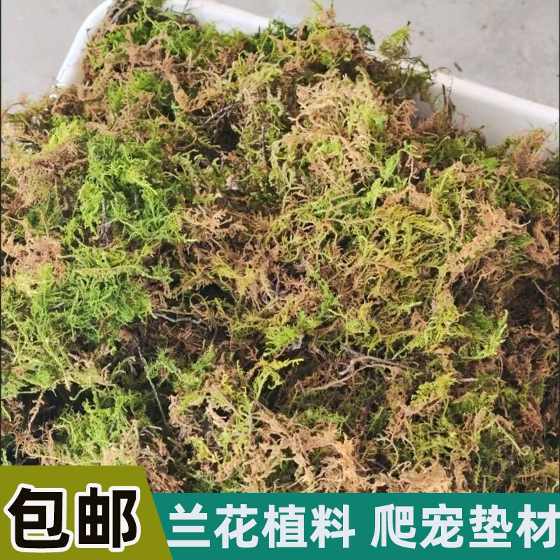 天然干苔藓青苔蝴蝶兰花石斛育苗高压营养土水苔乌龟冬眠垫材椰土