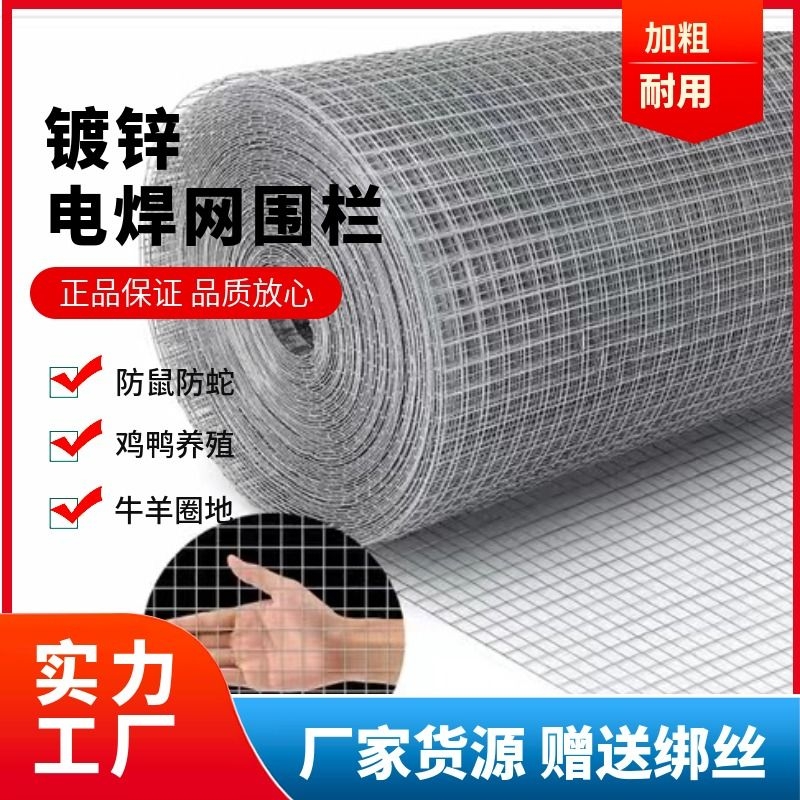 冷镀锌铁丝网钢丝网养鸡围栏防鼠养殖拦鱼塘护坡水泥防裂鸟笼防护