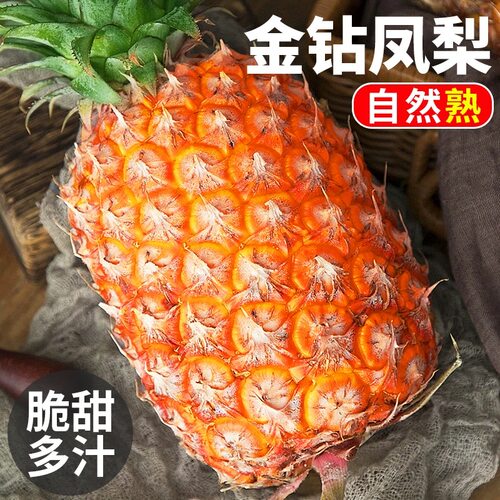 新鲜正宗海南金钻凤梨9斤大果水果热带手撕无眼整箱菠萝