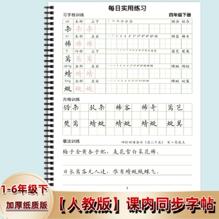 新版小学一二三四五六年级下册同步生字组词横线硬笔书法练字帖小学同步描红本田字格+方格+章法训练