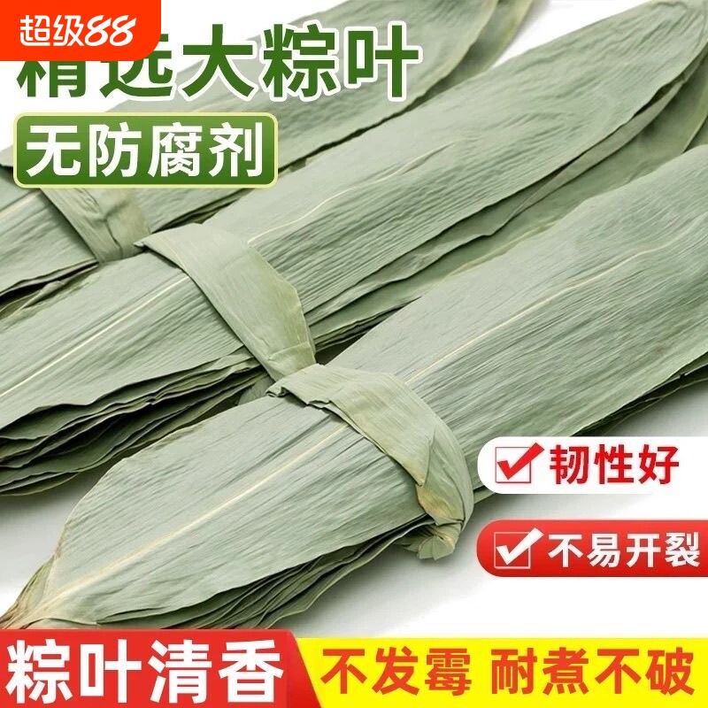 粽叶干大号粽子叶包粽子的叶子芦苇专用老式棕叶新鲜竹叶特大图片