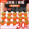 山西正宗火晶柿子30枚