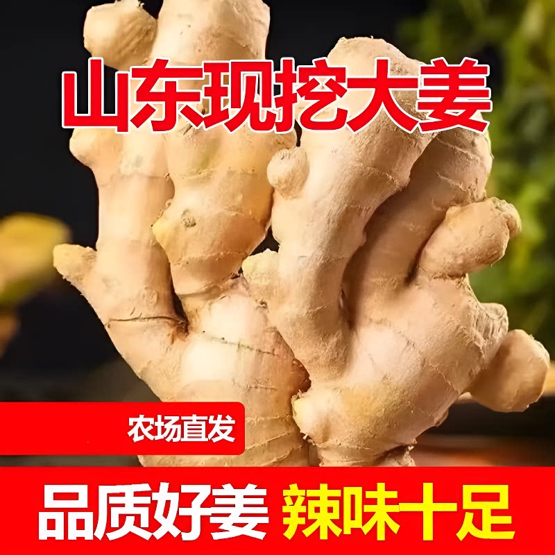生姜大黄姜山东大姜发货新鲜老姜黄姜月子姜批发姜汁红糖姜枣食用