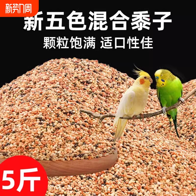 五色黍子虎皮牡丹玄凤中小型鹦鹉饲料鸟食混合粮谷子5斤文鸟粮食