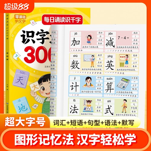 幼儿小升初衔接识字大王3000字