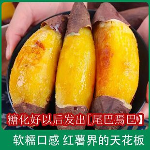 柏乡蜜薯新鲜红薯沙地地瓜糖心好吃的番薯香食用自提甜蜜应季软糯