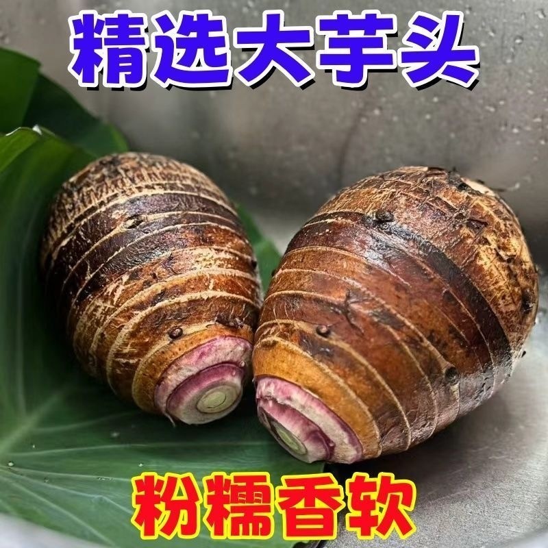 【甄选】云南高山大芋头紫心现挖包邮白心芋艿香芋头新鲜优质粉糯,水产肉类/新鲜蔬果/熟食,芋头,淘宝优惠券,粉丝福利购,淘宝优惠卷