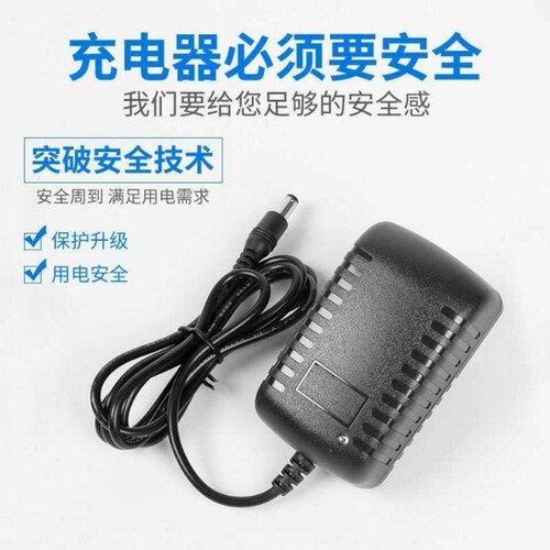 无线洗车机高压水枪充电器21V24V25V48V168V998VF锂电池充电器线