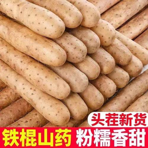 正宗铁棍山药小白嘴铁棍山药新鲜山药软糯香甜产地直发辅食宝