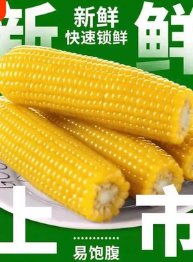 东北玉米棒黄糯玉米250g10支真空装软糯香甜新鲜甜糯玉米加热即食
