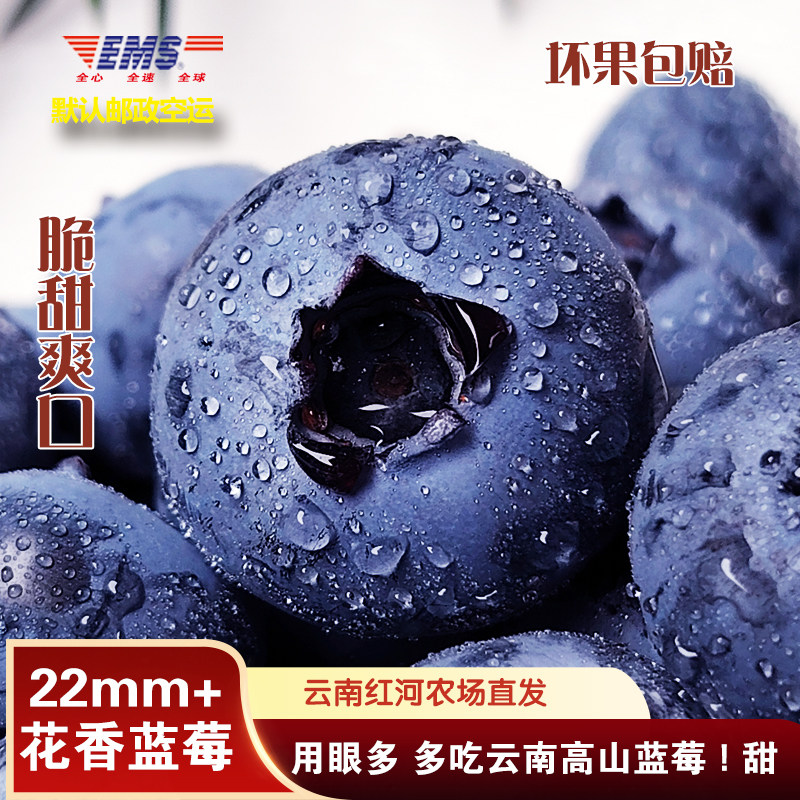 现货云南高山蓝莓王现摘新鲜特大果当季时令高端水果鲜沃25邮政