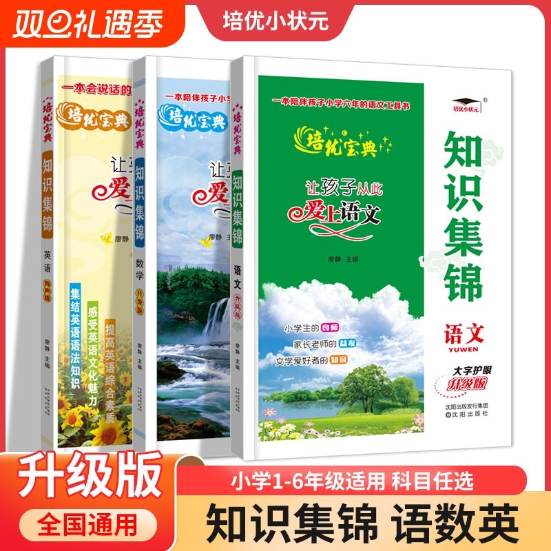 2023宝典知识集锦语文数学英语升级版小学基础知识手册总复习工具