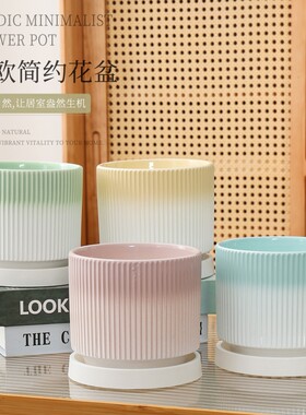 高端陶瓷花盆大号蝴蝶兰吊兰多肉绿植盆栽家用托盘精致桌面植物