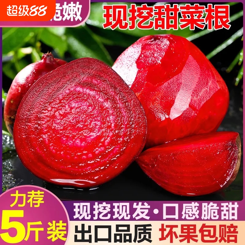 甜菜根现挖红皮萝卜新鲜菜头泡菜红菜头当季现拔甜心菜红甜菜