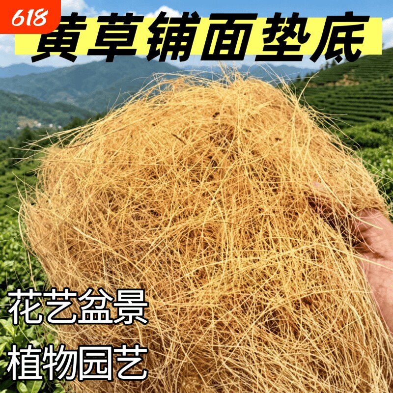 花艺辅料黄丝草丝熟料散装仿真植物铺垫盆景防尘蓬松用料