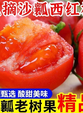 四川攀枝花现摘露天沙瓤西红柿新鲜普罗旺斯农家生吃水果番茄5