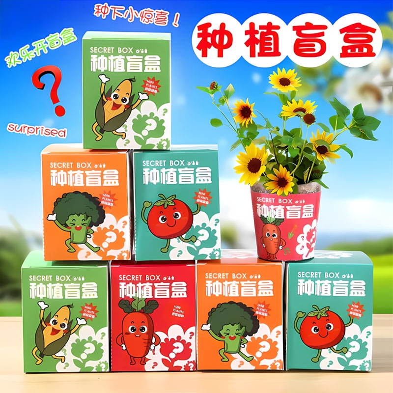 创意网红盆栽盲盒幼儿园儿童观察植物生长迷你盆栽桌面绿植小盆栽