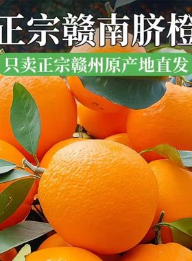 正宗赣南脐橙安远脐橙新鲜应当季水果现摘赣州果冻橙冰糖甜橙