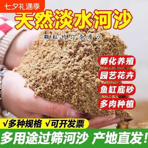 天然河沙粗沙细沙拌土垫底铺面