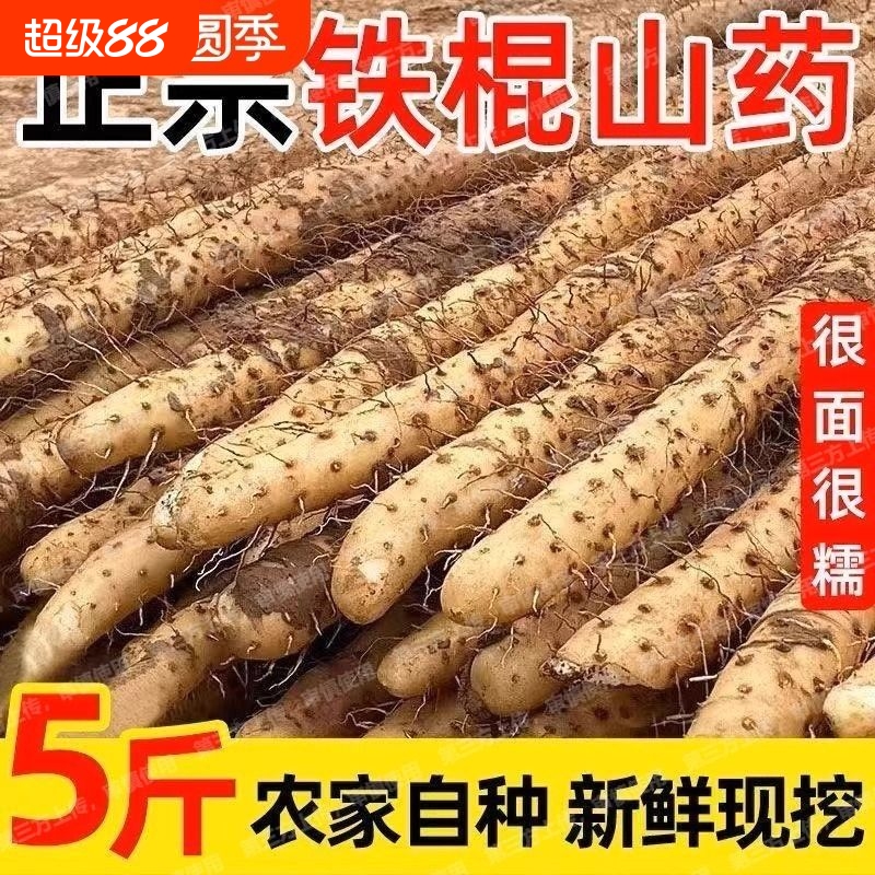 正宗铁棍山药新鲜铁杆怀山药农家山药铁棍批发中药材