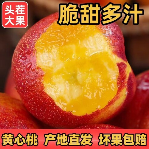 安徽砀山麻点油桃新鲜水果应季黄心油桃现摘脆甜蜜桃孕妇大果整箱