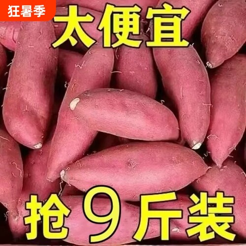 新鲜蜜薯9斤板栗红薯沙地糖心地瓜农家自种番薯板栗薯山芋甜蜜