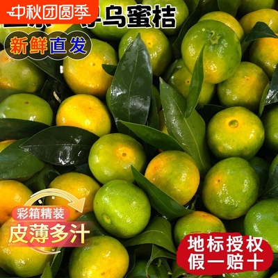 【平晏果园】正宗江西赣南寻乌蜜桔无核无籽皮薄多汁新鲜桔子水果