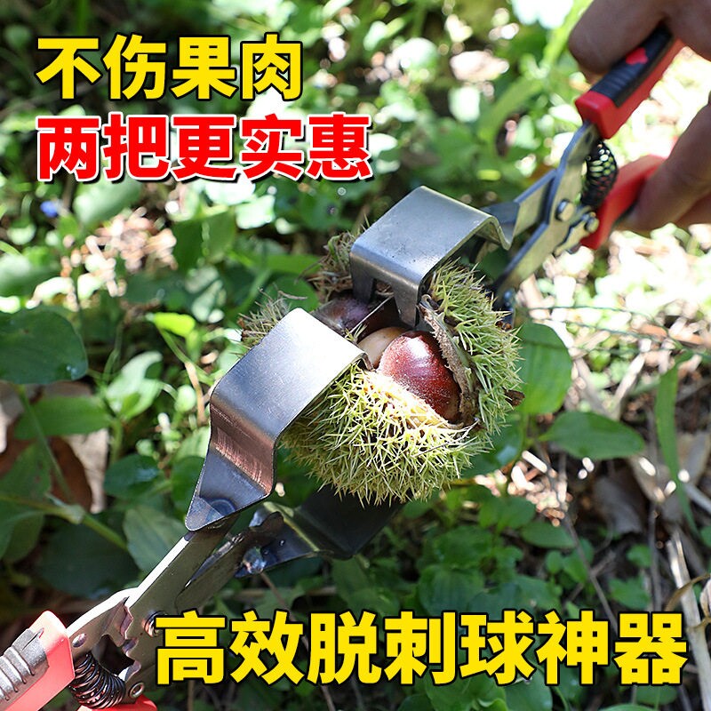 手工板栗剥壳器去皮开口工具图片