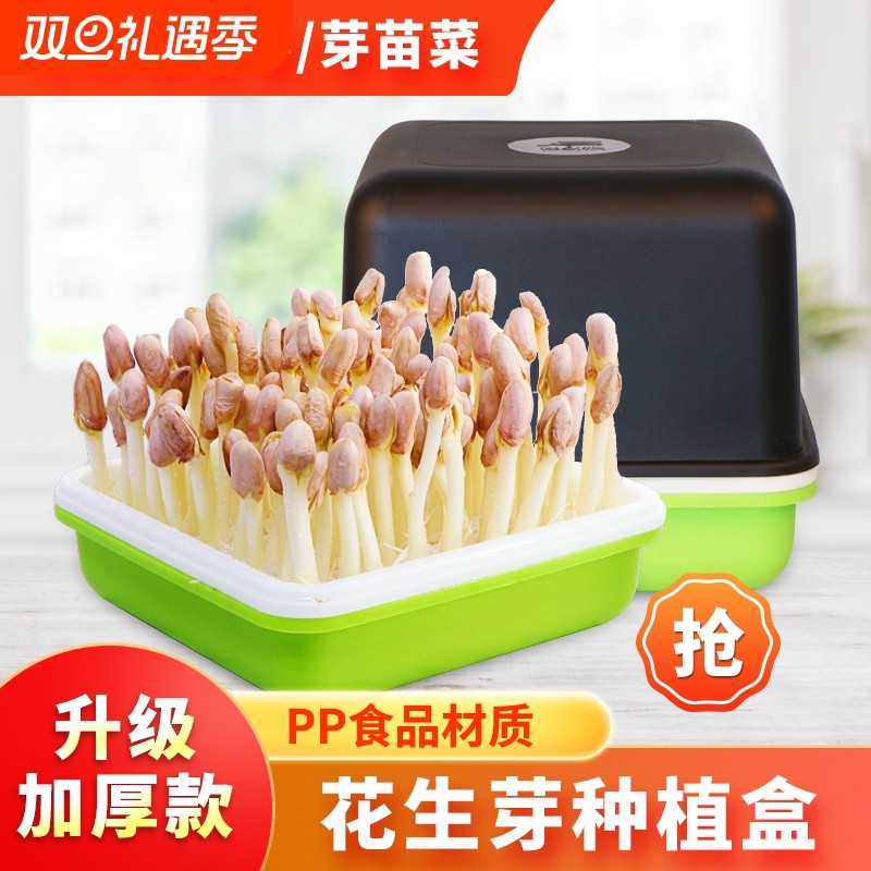 水培花生芽盒无土栽培育苗盘