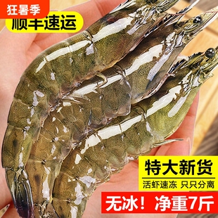 大虾鲜活冷冻特大号速冻青岛海鲜生鲜冻虾白虾王牌新鲜水产基围虾
