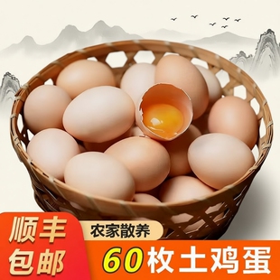 60枚正宗土鸡蛋新鲜鲜蛋粉壳蛋农家山林散养营养早餐鸡蛋50g/枚