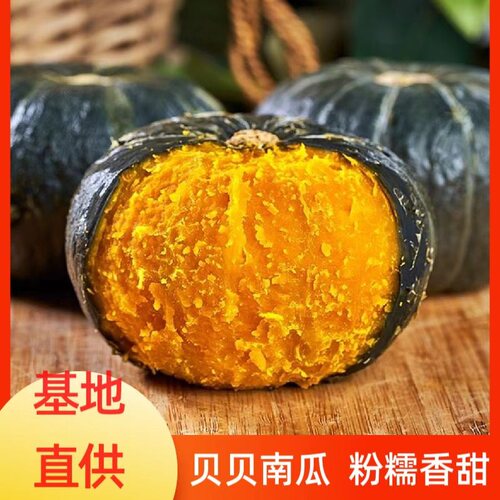 产地直发新鲜采摘贝贝南瓜香糯绵软板栗辅食南瓜粉代餐粗粮