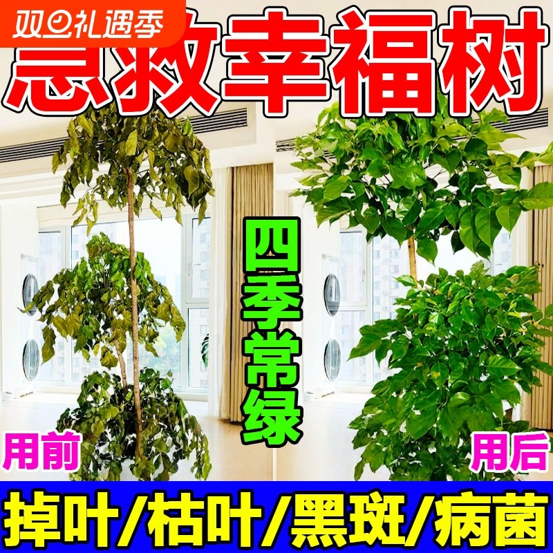 幸福树专用营养液肥料急救治落叶干枯掉叶子防黄叶黑斑绿植通用
