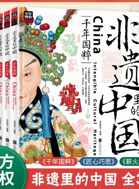 非遗里的中国全3册青少年百科书