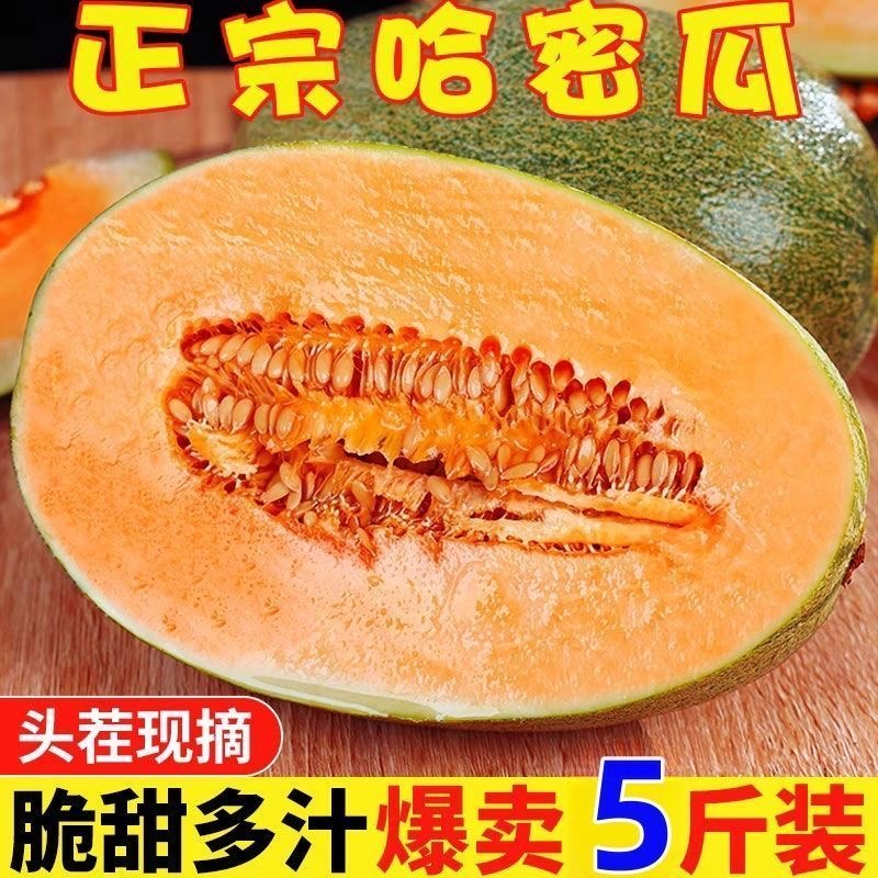 【甄选】正宗海南哈密瓜新鲜水果当季网纹甜瓜香瓜香甜爆汁整箱瓜