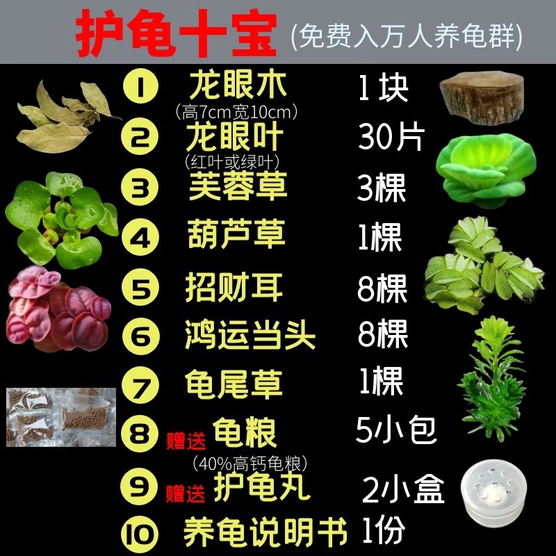 养龟专用绿植水草植物摆件晒台乌龟躲避屋龙眼木龟缸造景客厅净水