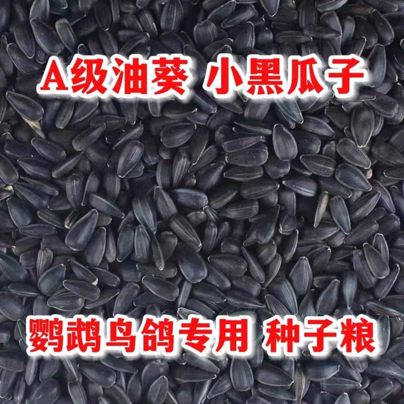 油葵鹦鹉鸟粮仓鼠鸽粮小瓜子鸟食人工挑选虎皮牡丹粮食零食饲料